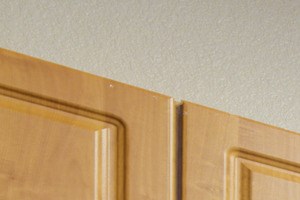 Model Kitchen